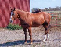 Colonel Remington